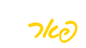 peer-logo-2-300x169-1